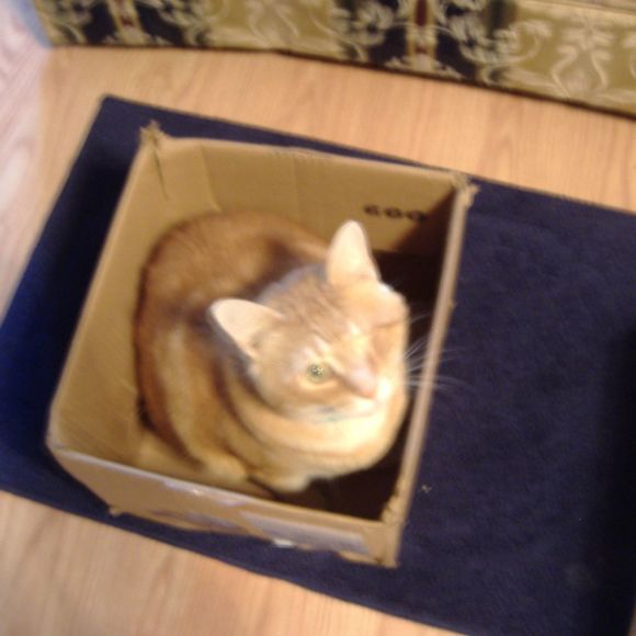 patsy_eldridge